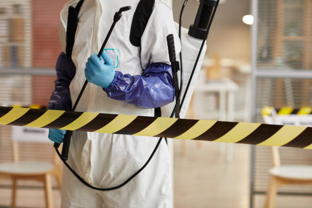 Professional Odor Removal technician working in Hamilton, IL